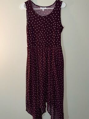 Elle plum Polka Dot Scoop Neck Dress